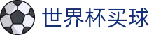 2026国际足联世界杯买球入口 · 客户端安装与软件快速登录通道